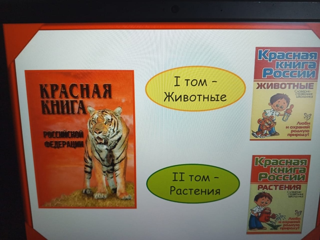 Классный час "Красная книга".
