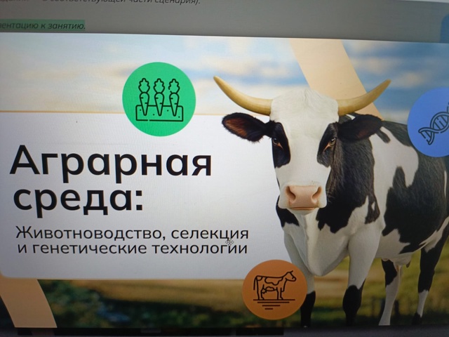 Профминимум.