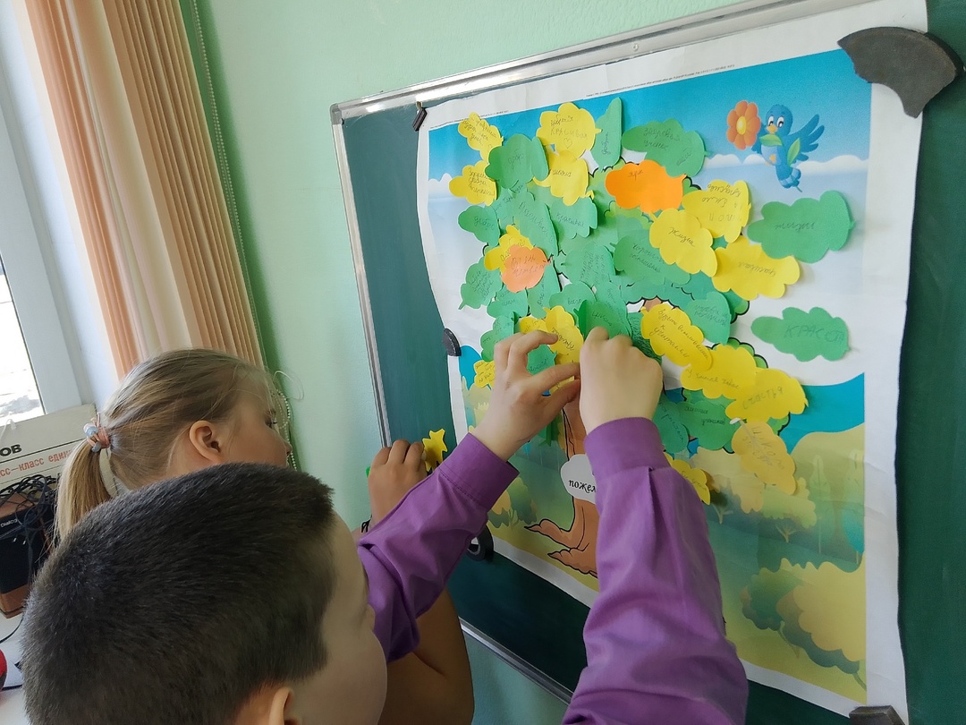 Неделя без конфликтов..